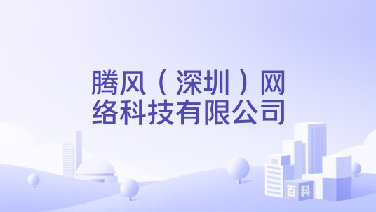 腾风(深圳)网络科技有限公司