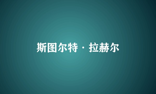 斯图尔特·拉赫尔