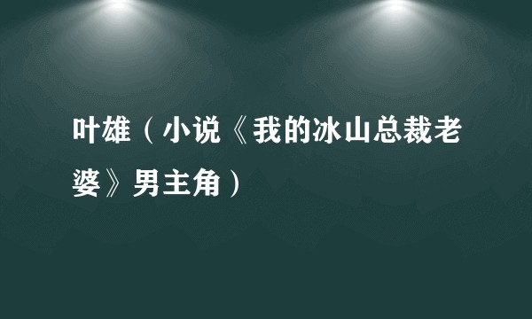 叶雄（小说《我的冰山总裁老婆》男主角）