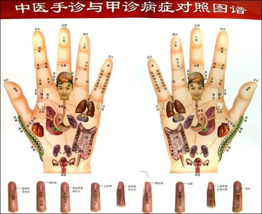 中医手诊