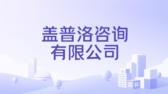盖普洛咨询有限公司