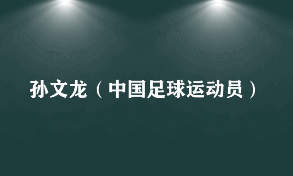 孙文龙（中国足球运动员）