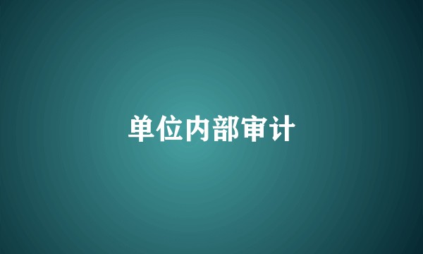 单位内部审计