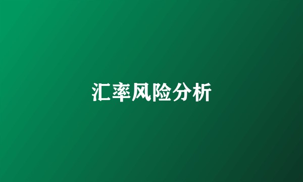 汇率风险分析