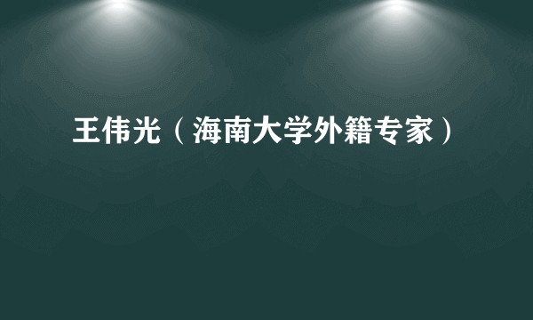 王伟光（海南大学外籍专家）