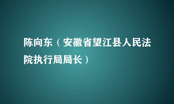 陈向东（安徽省望江县人民法院执行局局长）