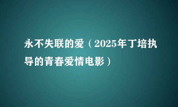 永不失联的爱（2025年丁培执导的青春爱情电影）