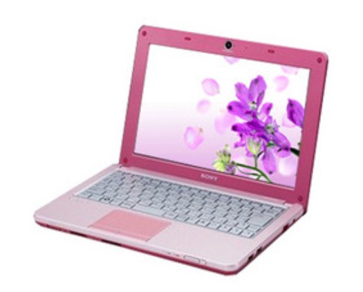 索尼VAIO W119XJ/P