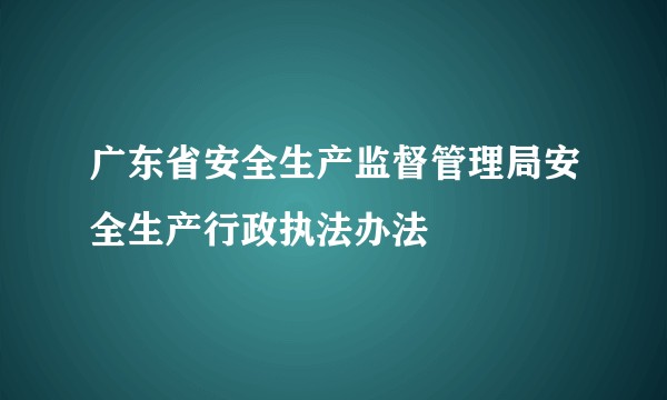 广东省安全生产监督管理局安全生产行政执法办法