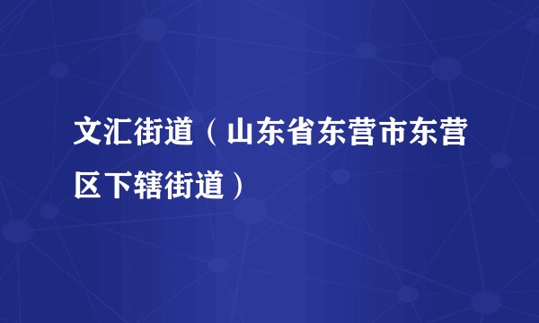 文汇街道（山东省东营市东营区下辖街道）