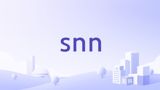 snn（拉链品牌）