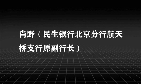 肖野（民生银行北京分行航天桥支行原副行长）