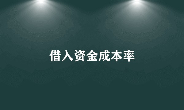 借入资金成本率