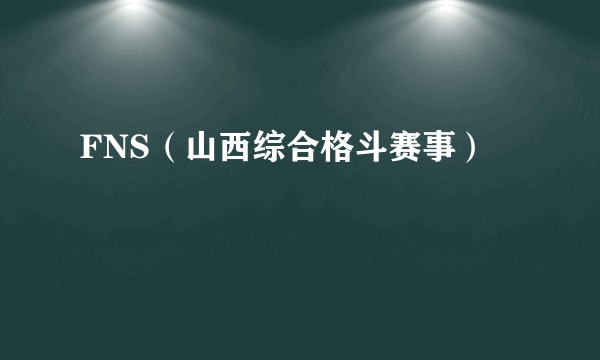 FNS（山西综合格斗赛事）