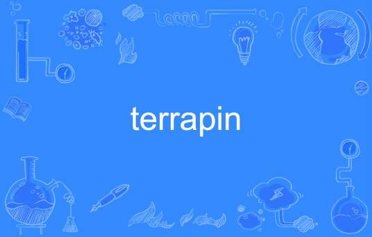 terrapin（英语单词）