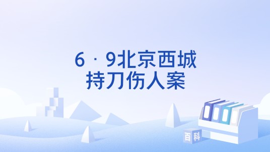 6·9北京西城持刀伤人案