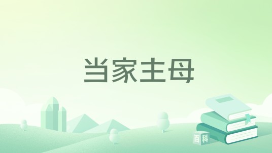 当家主母（杜雁翎小说作品）