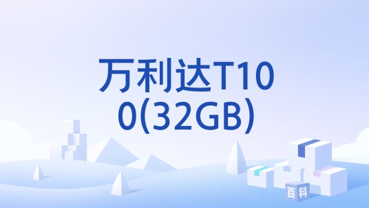 万利达T100(32GB)