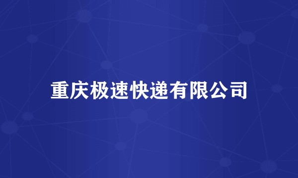 重庆极速快递有限公司