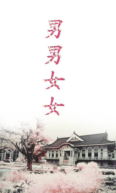 男男女女（2005年复旦大学出版社出版的图书）