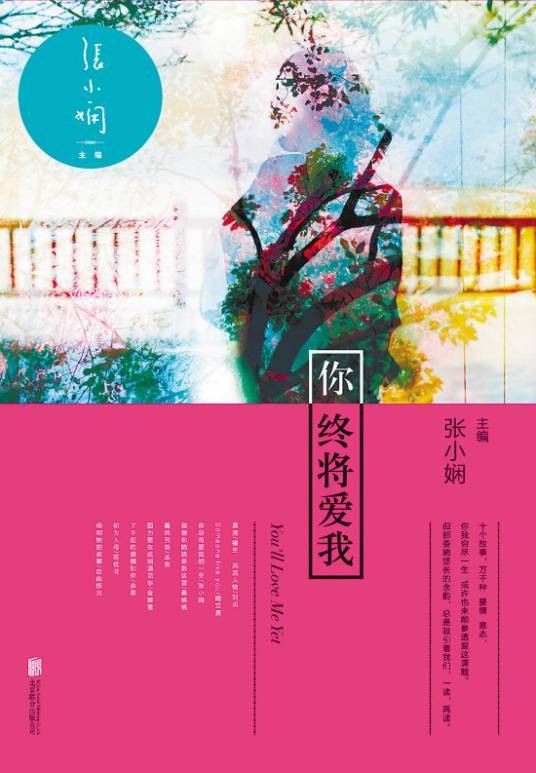 你终将爱我（2013年北京联合出版公司出版图书）
