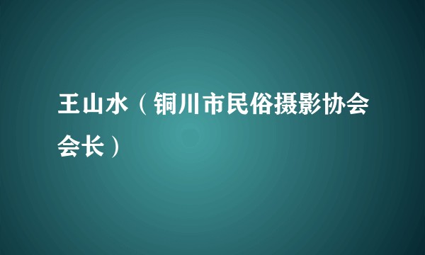 王山水（铜川市民俗摄影协会会长）