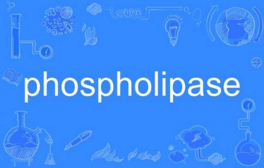 phospholipase