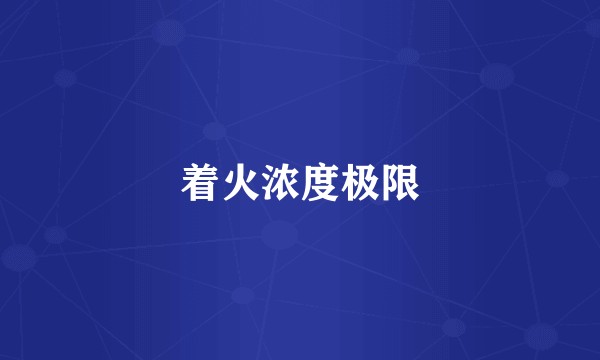 着火浓度极限