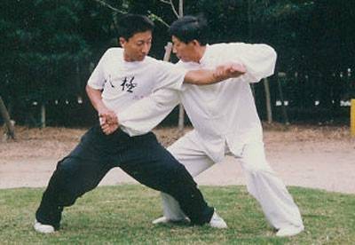八极拳（吴氏开门八极拳）