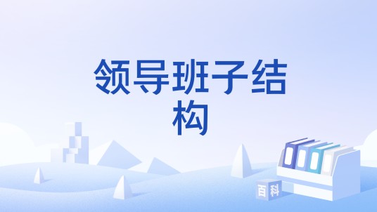 领导班子结构