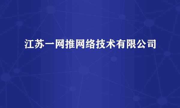 江苏一网推网络技术有限公司
