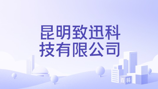 昆明致迅科技有限公司