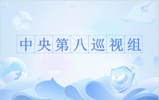 中央第八巡视组
