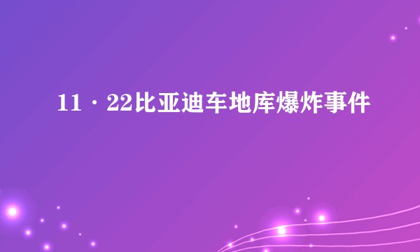 11·22比亚迪车地库爆炸事件