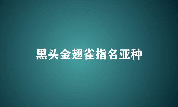 黑头金翅雀指名亚种
