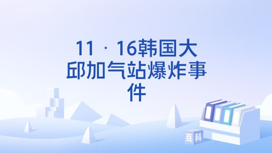 11·16韩国大邱加气站爆炸事件