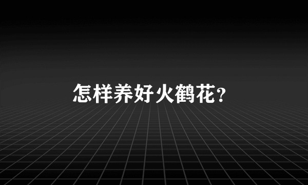 怎样养好火鹤花？