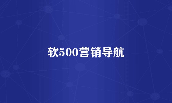软500营销导航