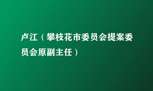 卢江（攀枝花市委员会提案委员会原副主任）