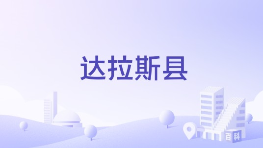 达拉斯县（美国得克萨斯州达拉斯县）