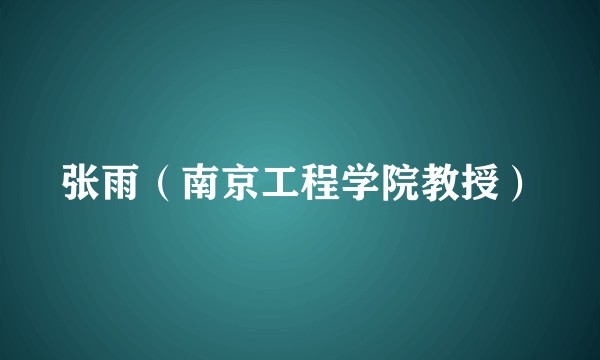 张雨（南京工程学院教授）