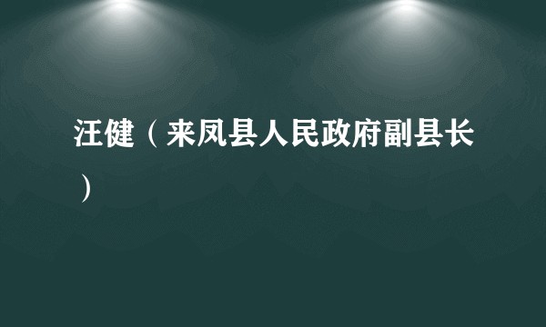 汪健(来凤县人民政府副县长)