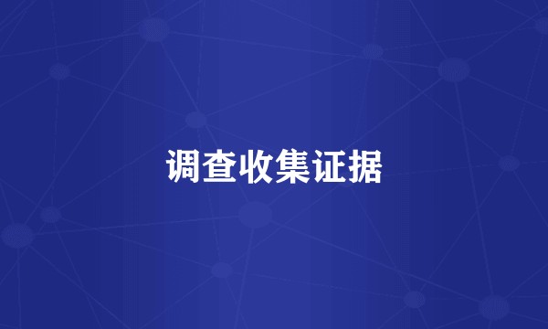 调查收集证据