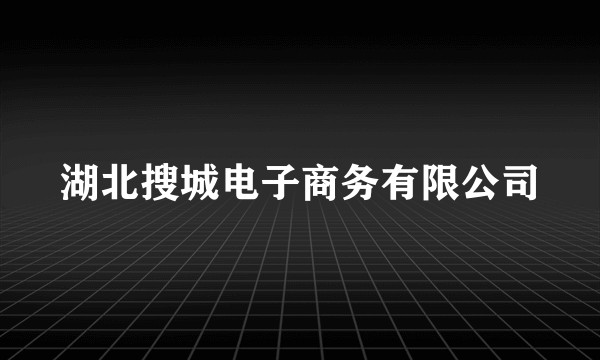 湖北搜城电子商务有限公司