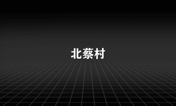 北蔡村
