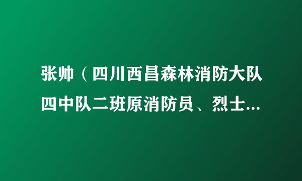 张帅（四川西昌森林消防大队四中队二班原消防员、烈士、感动中国2019年度人物）