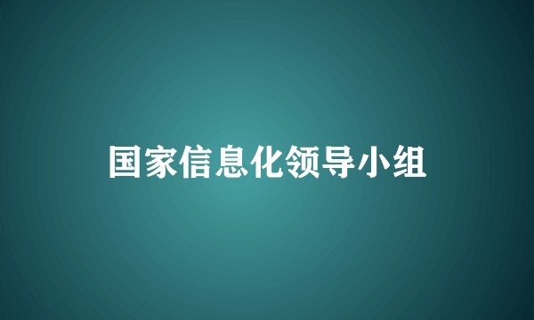 国家信息化领导小组