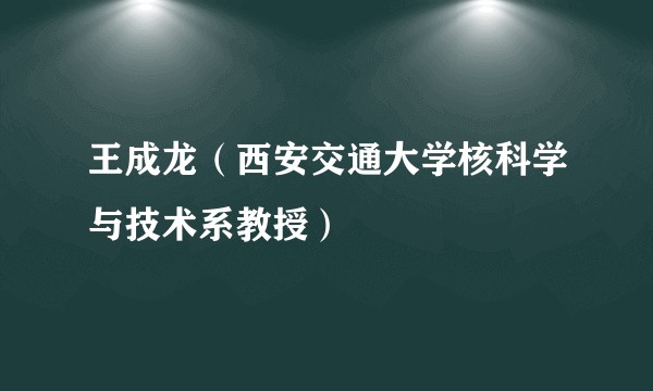 王成龙（西安交通大学核科学与技术系教授）
