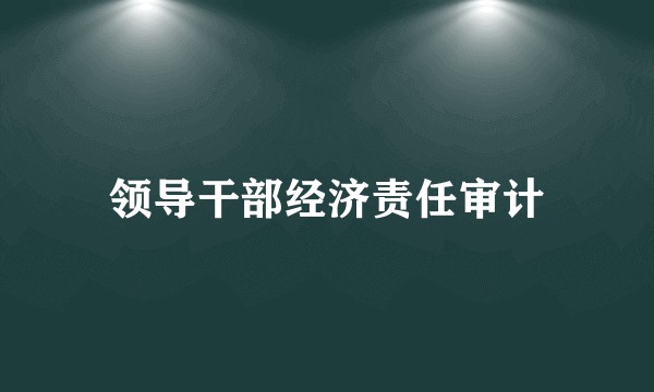 领导干部经济责任审计