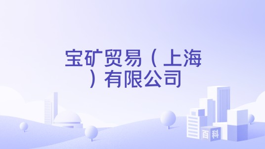 宝矿贸易（上海）有限公司